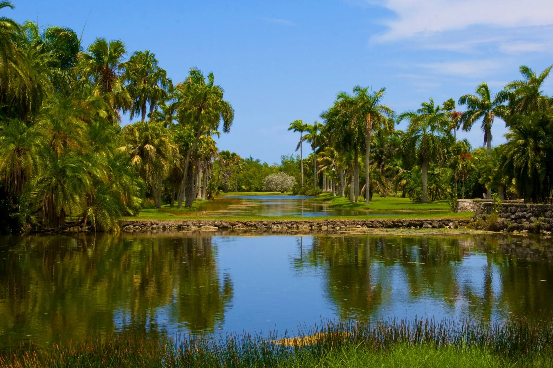 Fairchil Tropical.JPG