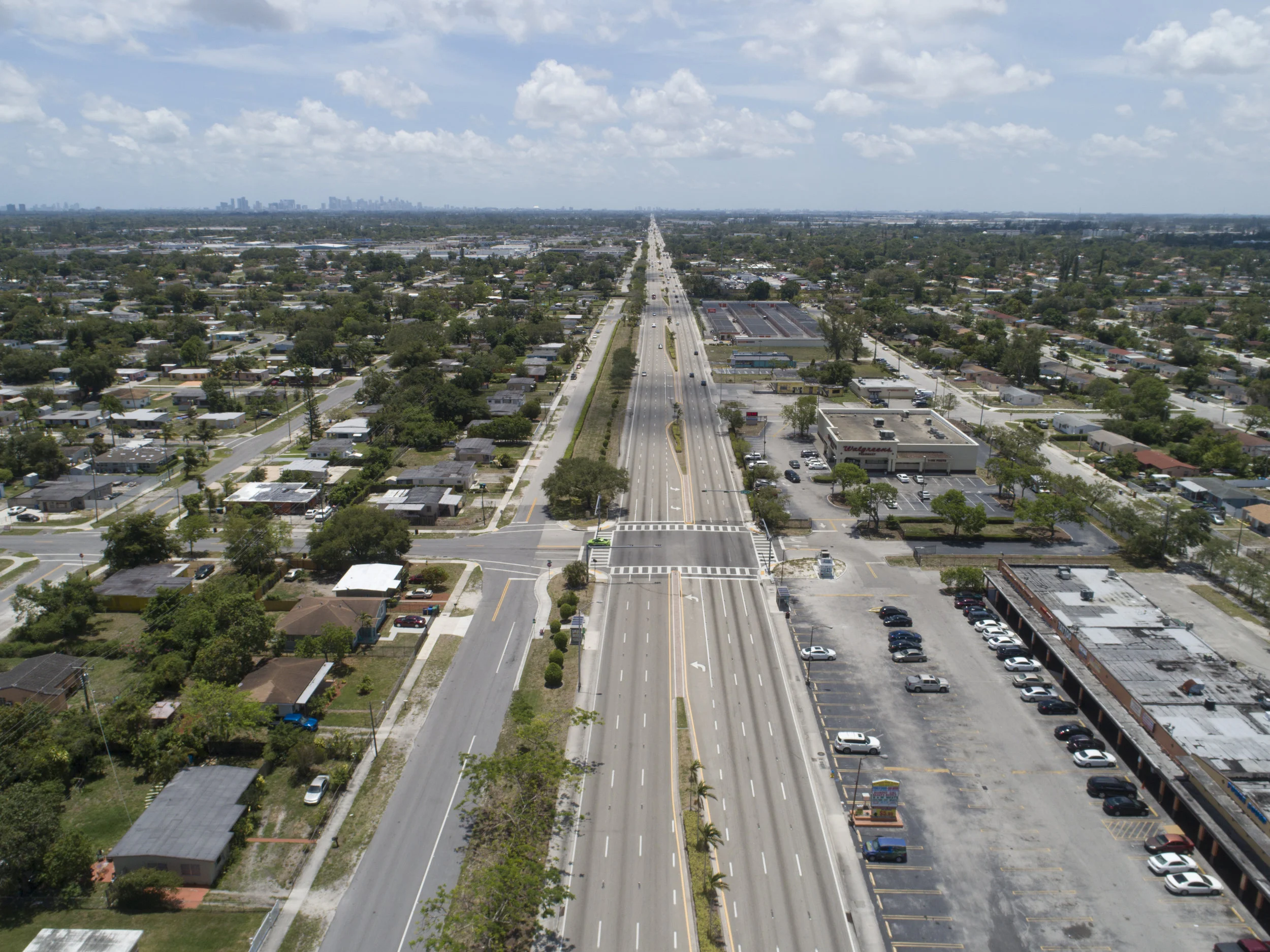 Palmetto -100.jpg