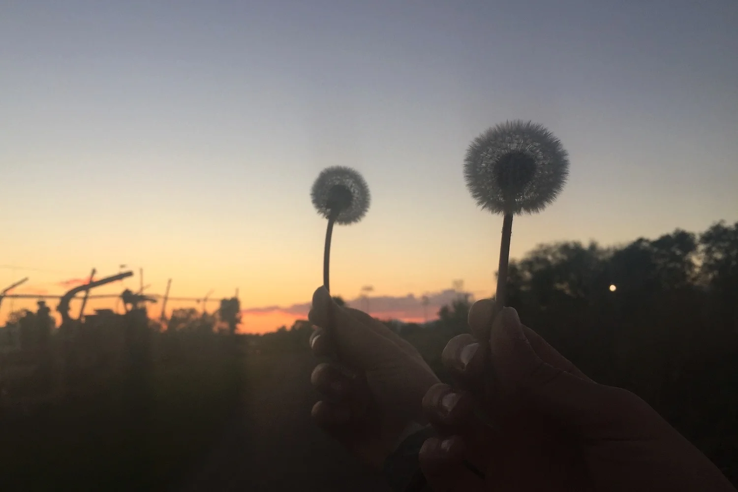 Home Banner Make a Wish 1500x1000.jpeg