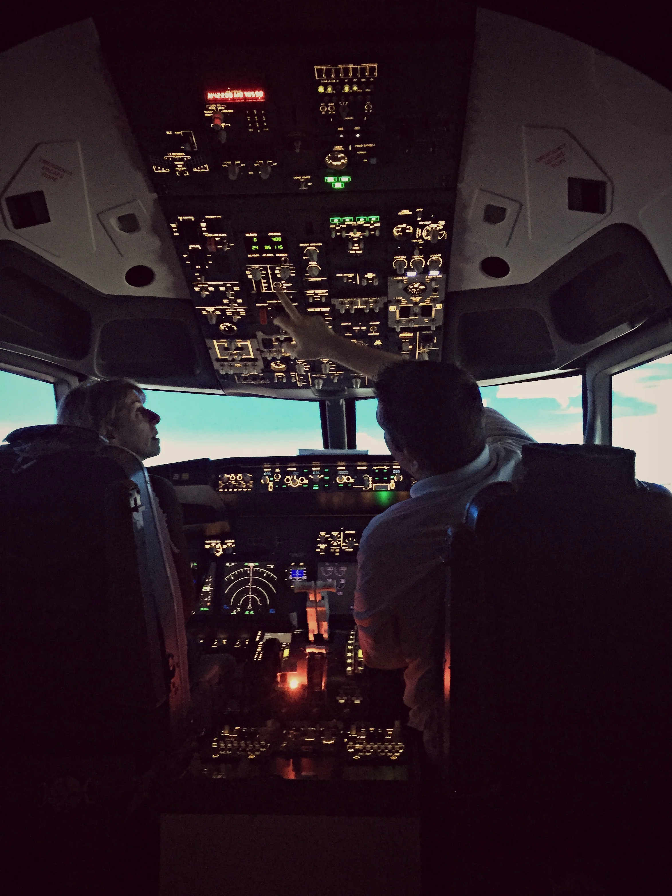 17. Pilot a Plane (simulation)