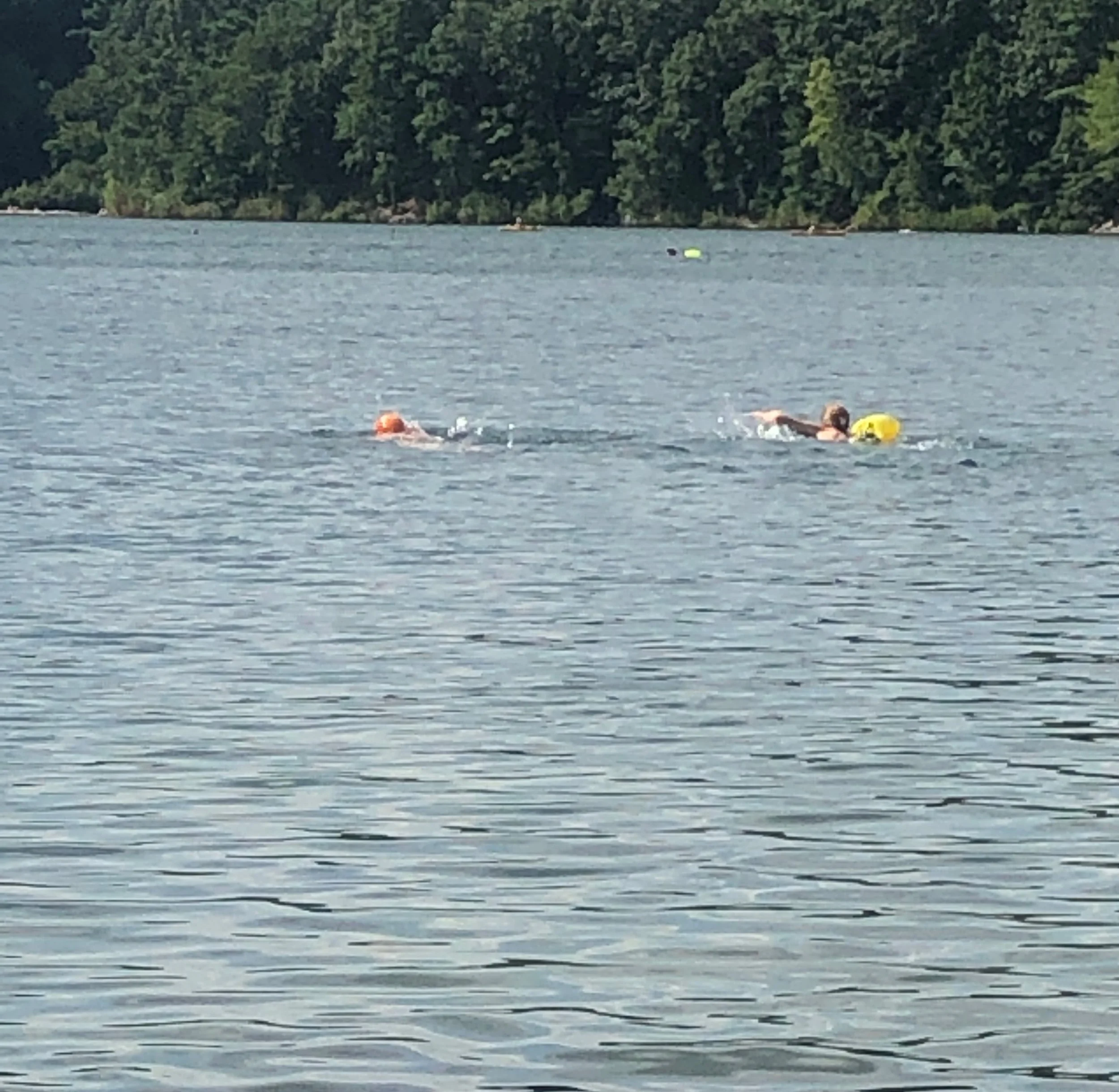 28. Swimming a Mile