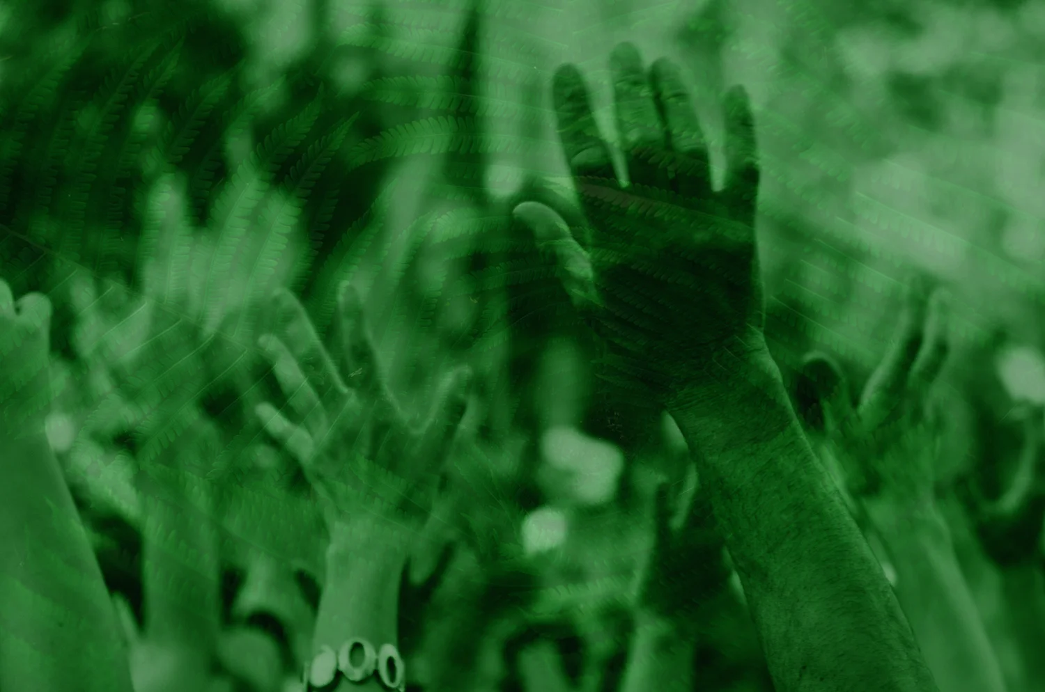 green_hands_composite_1500x994.jpg