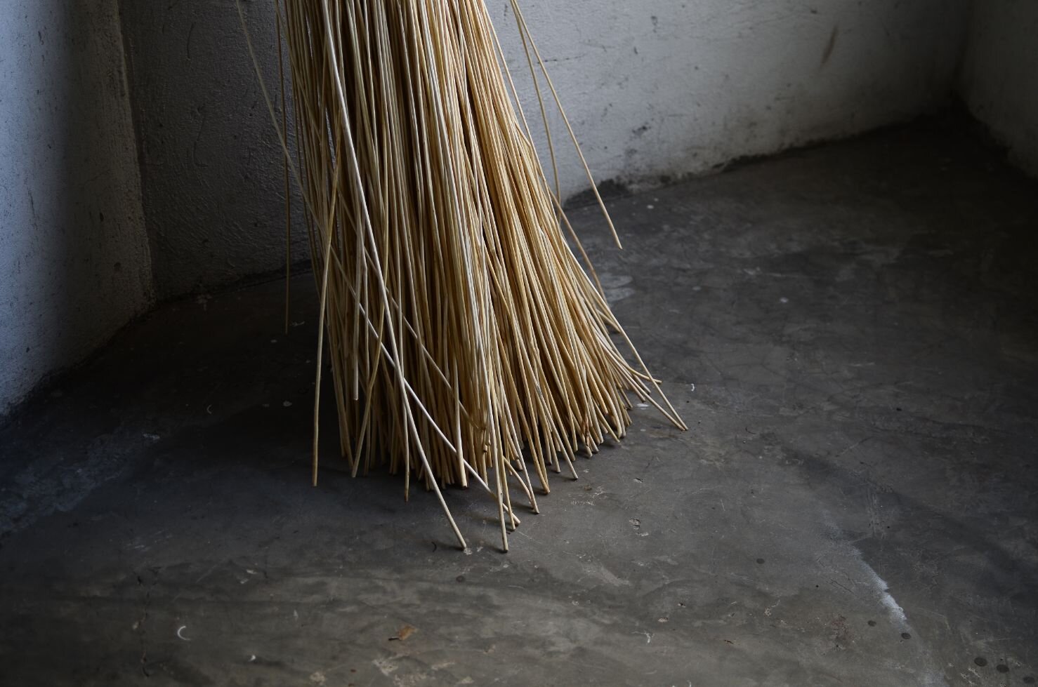 Tucurinca