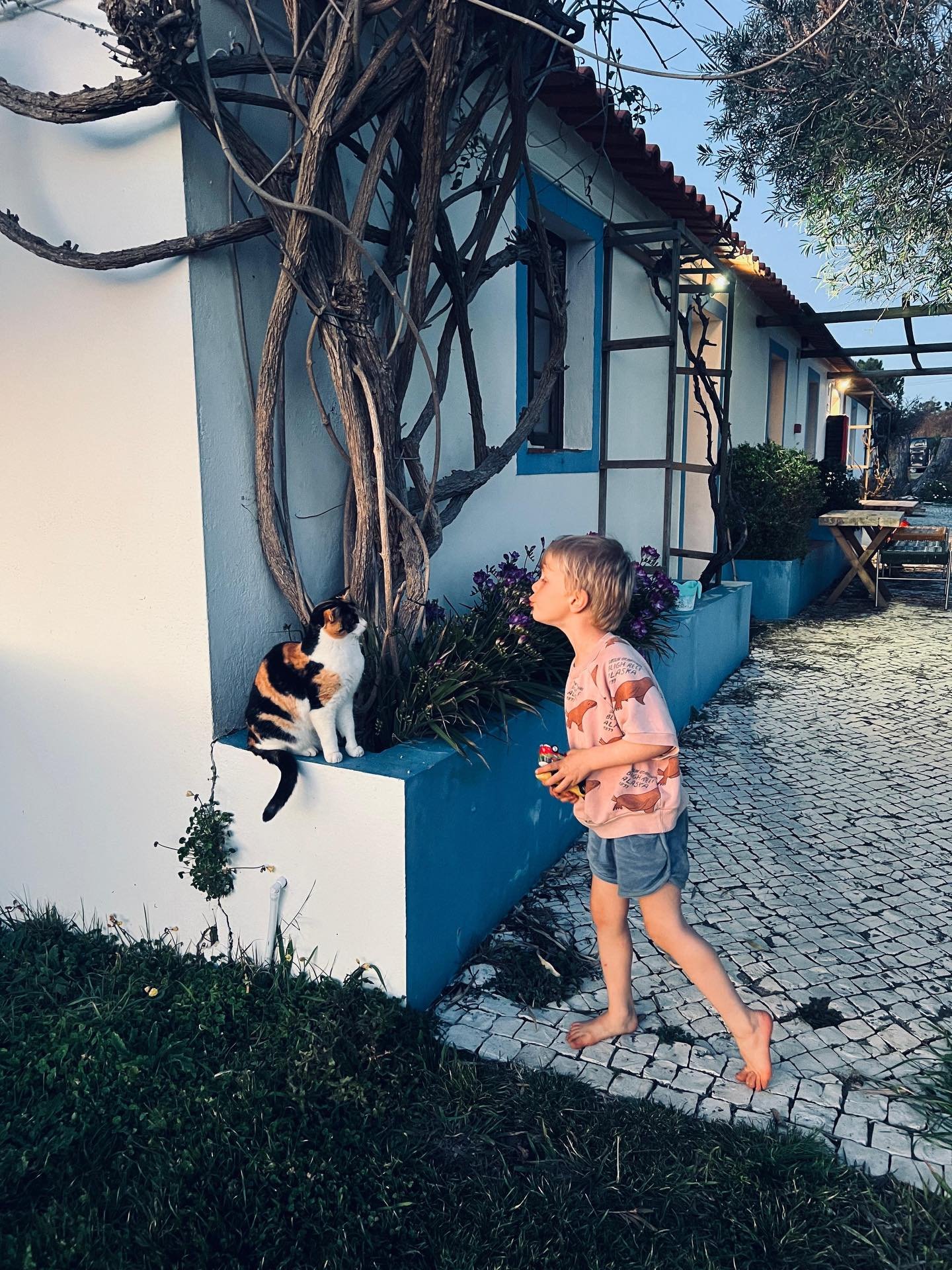 &ldquo;Mi casa es su casa&rdquo;

Did you know there&rsquo;s an exploration tour in our neighborhood where you have to find a wooden sign that says &ldquo;Mi casa es su casa&rdquo;? Well&hellip; it&rsquo;s our house!

Spending our winters in Portugal