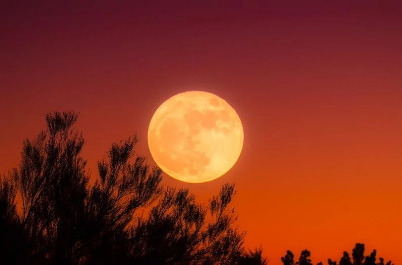 October Harvest Moon &amp; What it Means for You [Vix]