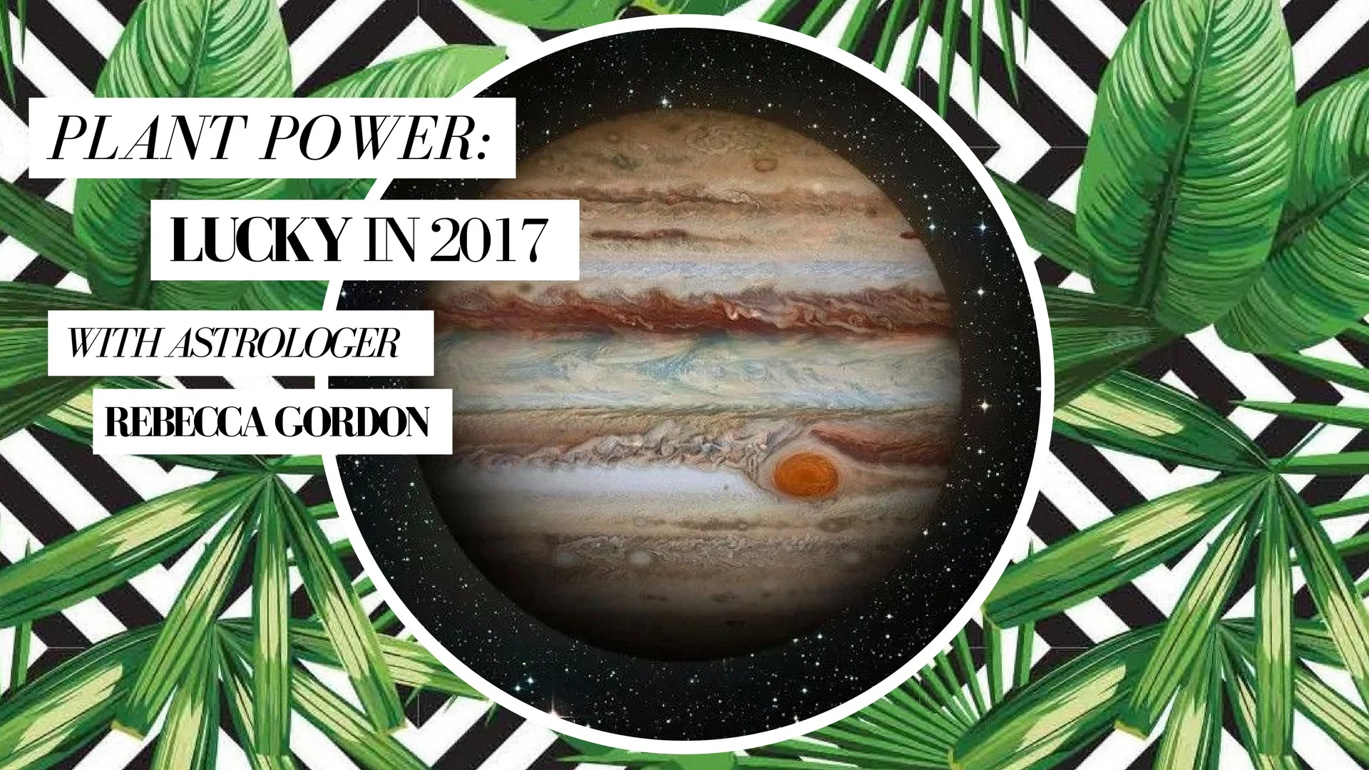 Plant Power: Lucky in 2017 [IPP]