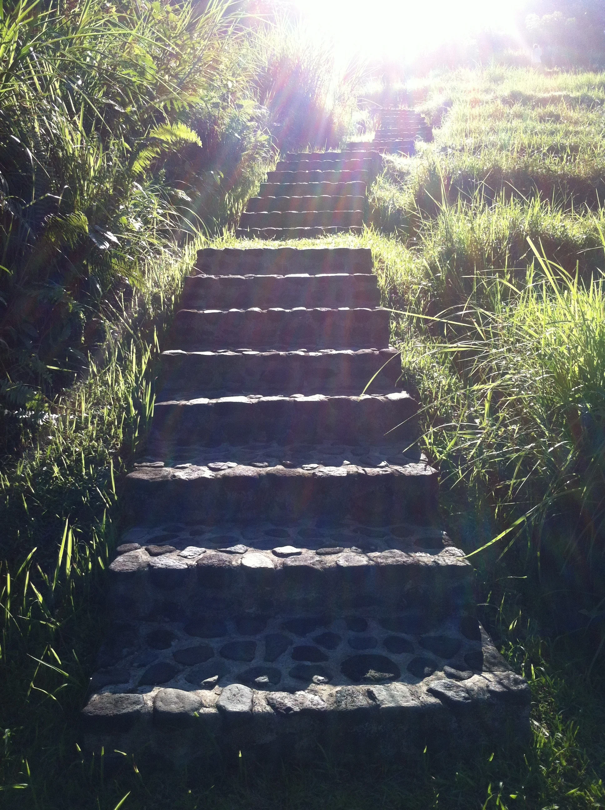 The Power In Finding Your Path