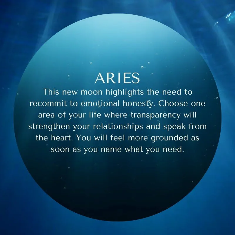 New Moon in 28&deg; Scorpio Horoscopes

Read for your Sun &amp; Rising Signs ✨

#newmoon #scorpionewmoon #mooninsights #newmoonhoroscopes #novemberastrology