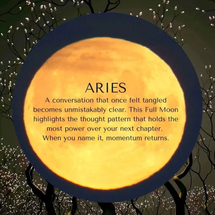 Full Moon at 13&deg; Gemini Horoscopes

Read for your Sun &amp; Rising Signs ✨

#fullmoon #geminifullmoon #mooninsights #gemini #fullmoonhoroscopes #decemberastrology