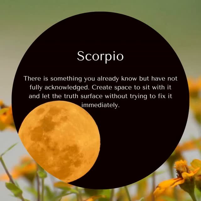 Full Moon in 12&deg; Libra Horoscopes

Read for your Sun &amp; Rising Signs ✨ 

#fullmoon #moon #astrology #learnastrology #lunar #astro #instasign #horoscope #zodiacsign #zodiac #cosmic #shineyourlight #astrojourney #endings #empowerment #astrologer