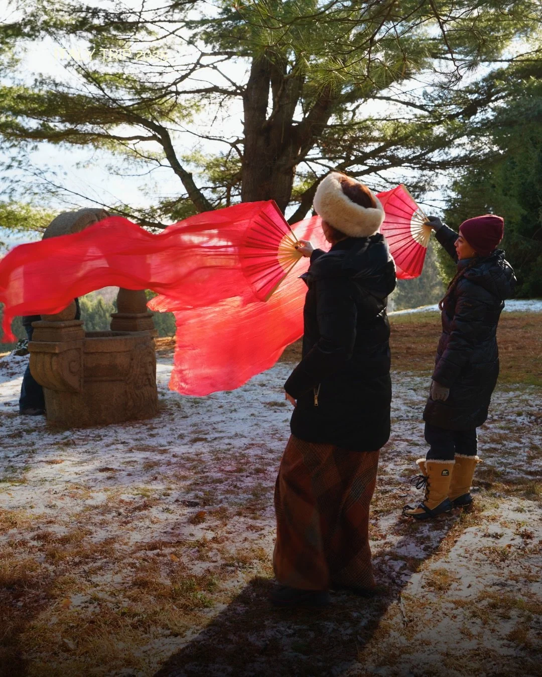 Celebrating the Solstice points communally has been such a highlight of the last year. This will be our second retreat with @thethyme_ as now we gather for the Summer Solstice in June.

Last December, we met on the Winter Solstice, and now I am invit