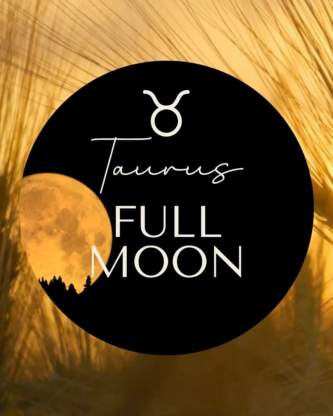 10/26 Full Moon Taurus