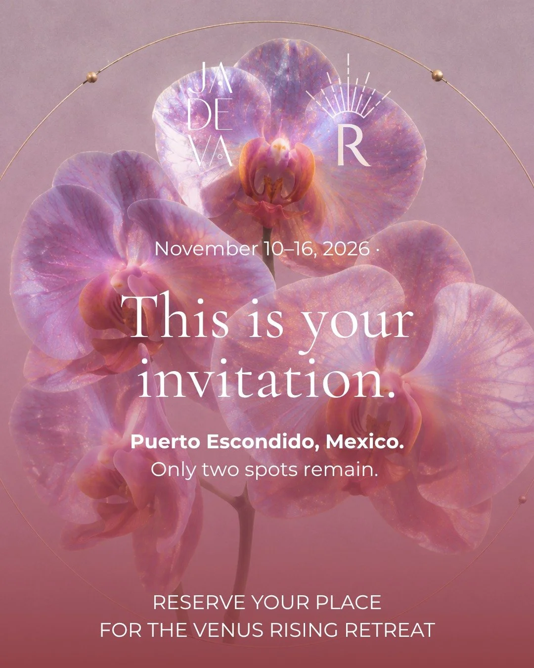 An invitation to Venus Rising.

This November, Katya Libin and I are gathering a circle of extraordinary women on the sacred sands of Puerto Escondido, Mexico.

For five nights, we&rsquo;ll live together in beautiful private casitas, surrounded by oc