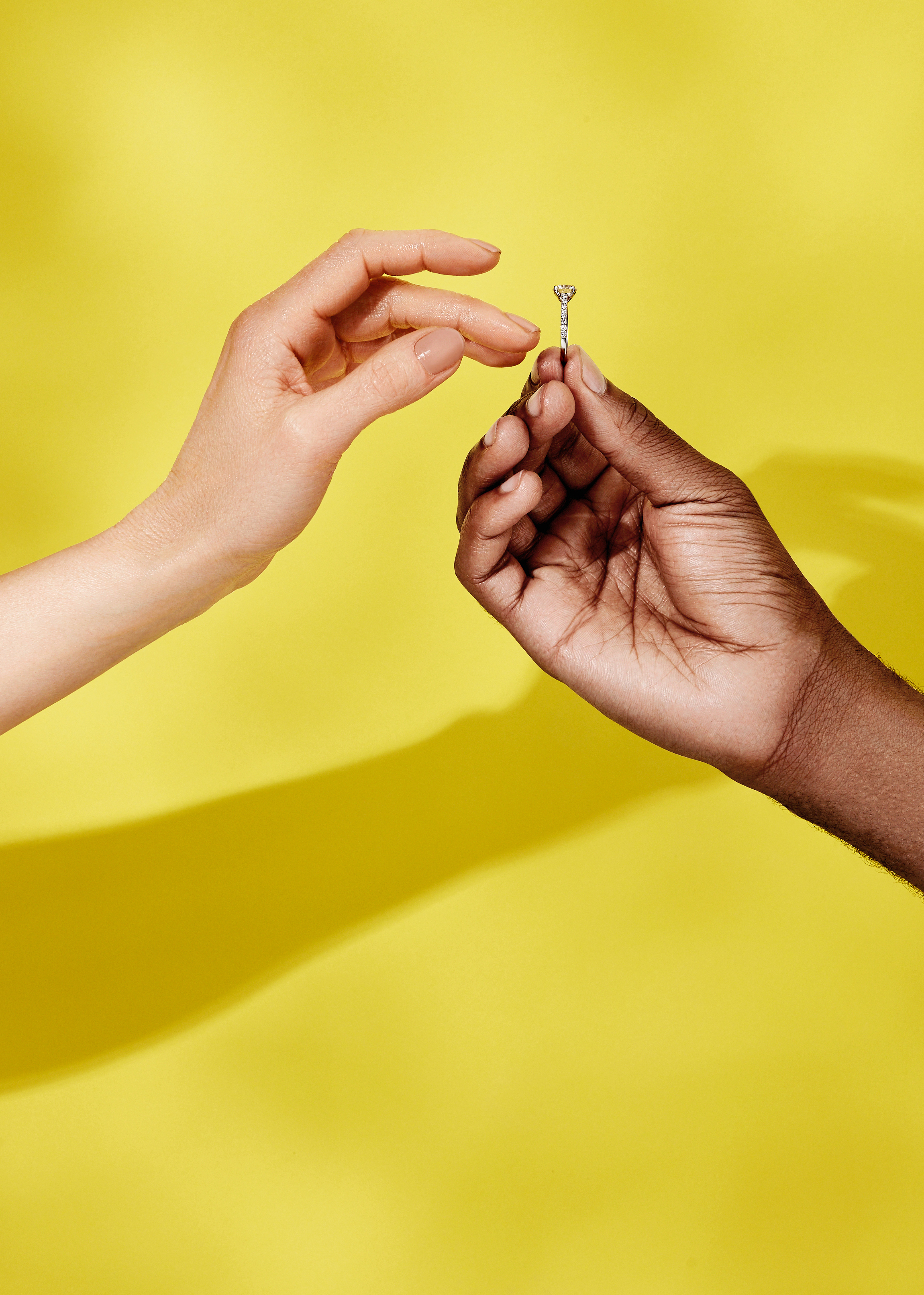20190410_DeBeers_Partners_11_013_V3_Cropped.jpg