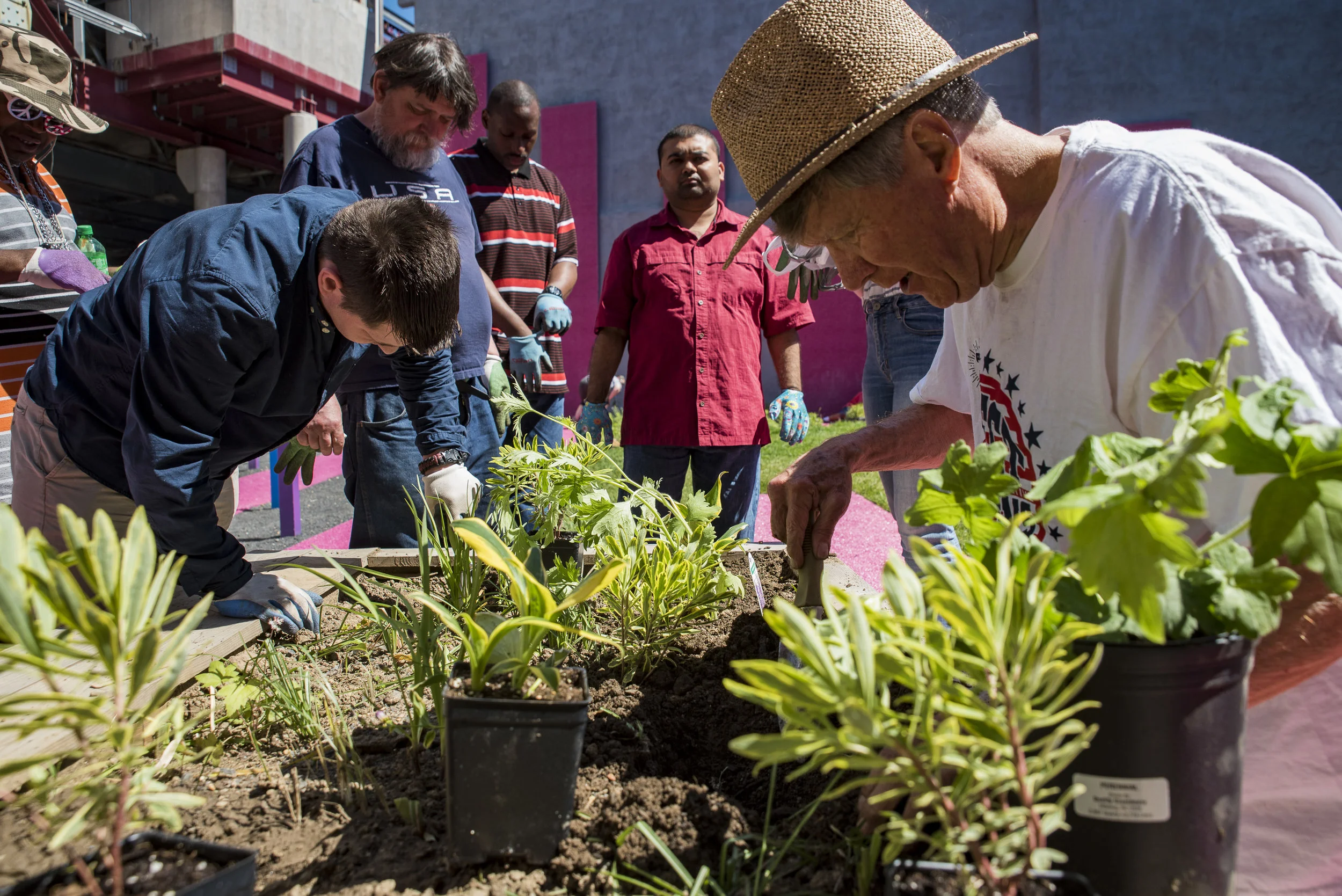 2018-05May-24 Frankford Pause Planting Day_0303.jpg
