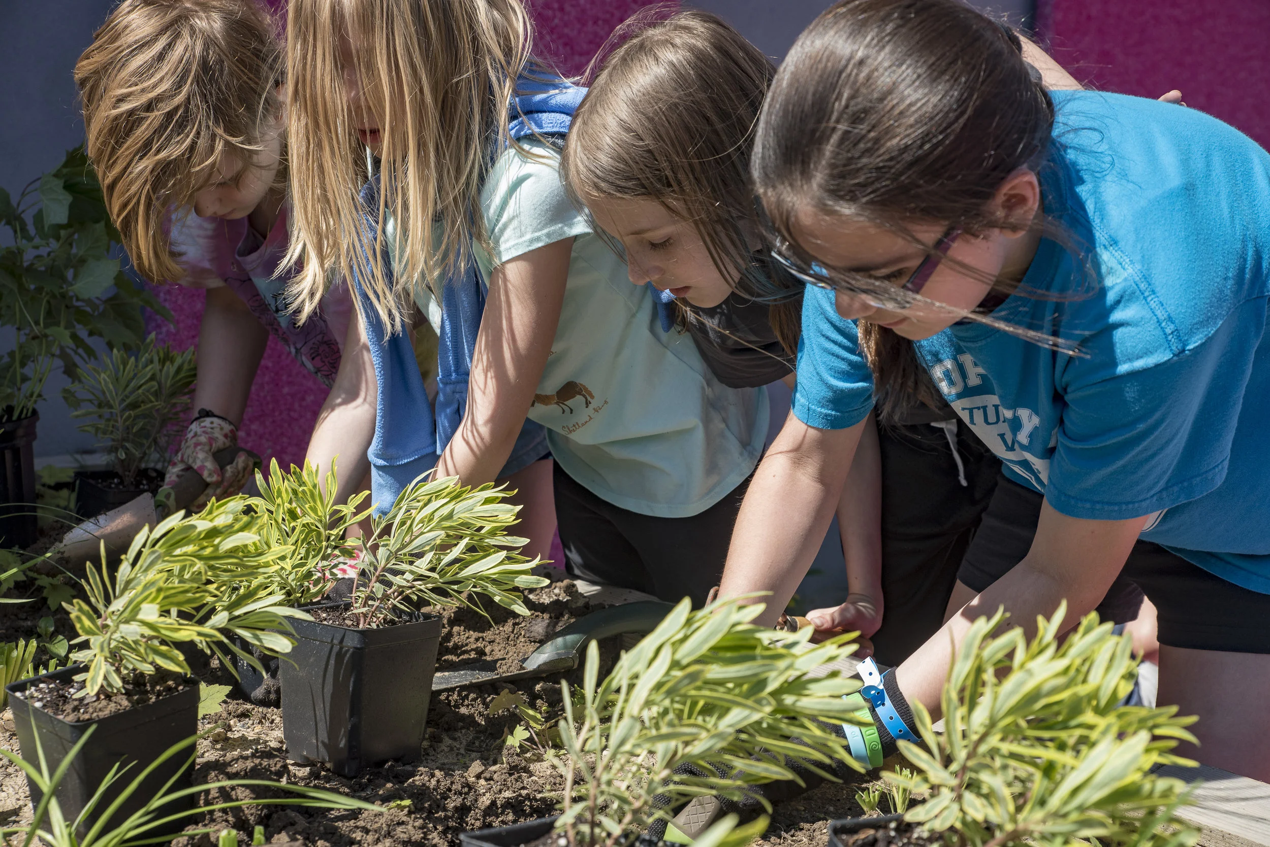 2018-05May-24 Frankford Pause Planting Day_0318.jpg