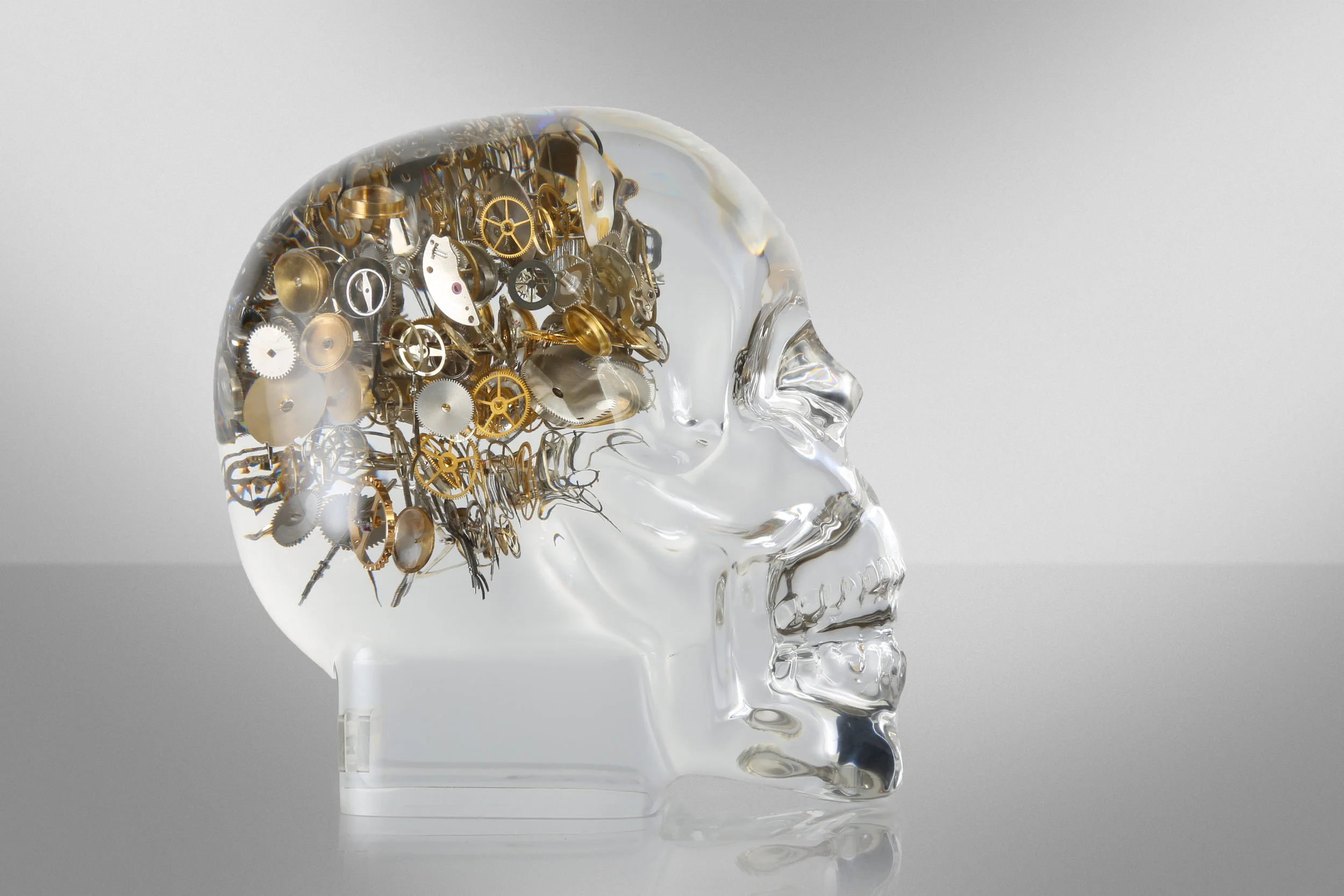 Luxury Berd Vaye Skull by EsperLuxe