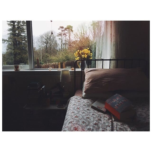 23|03|2020 
Before I fell very behind in my &lsquo;read 15 pages of War and Peace a day&rsquo; plan. 
_______________________________________
#aprillove2020 #moodofmywindow #hellofavouritefoxmug #documentyourdays #flowersgivemepower #poetryofsimpleth