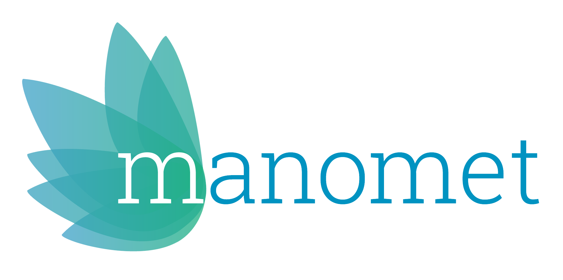 Manomet logo (Copy)