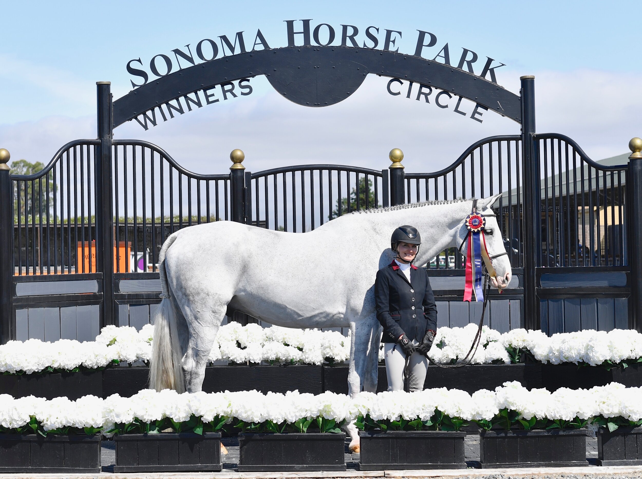 sunnybrook-horses-devoted-for-sale-3