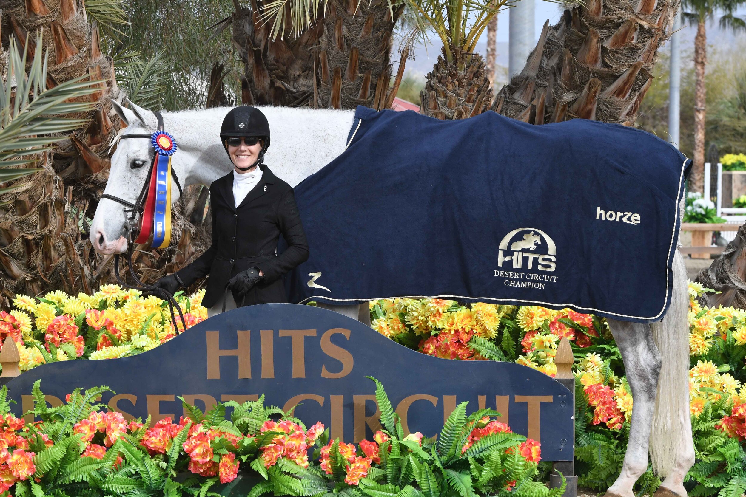 sunnybrook-horses-devoted-for-sale-3