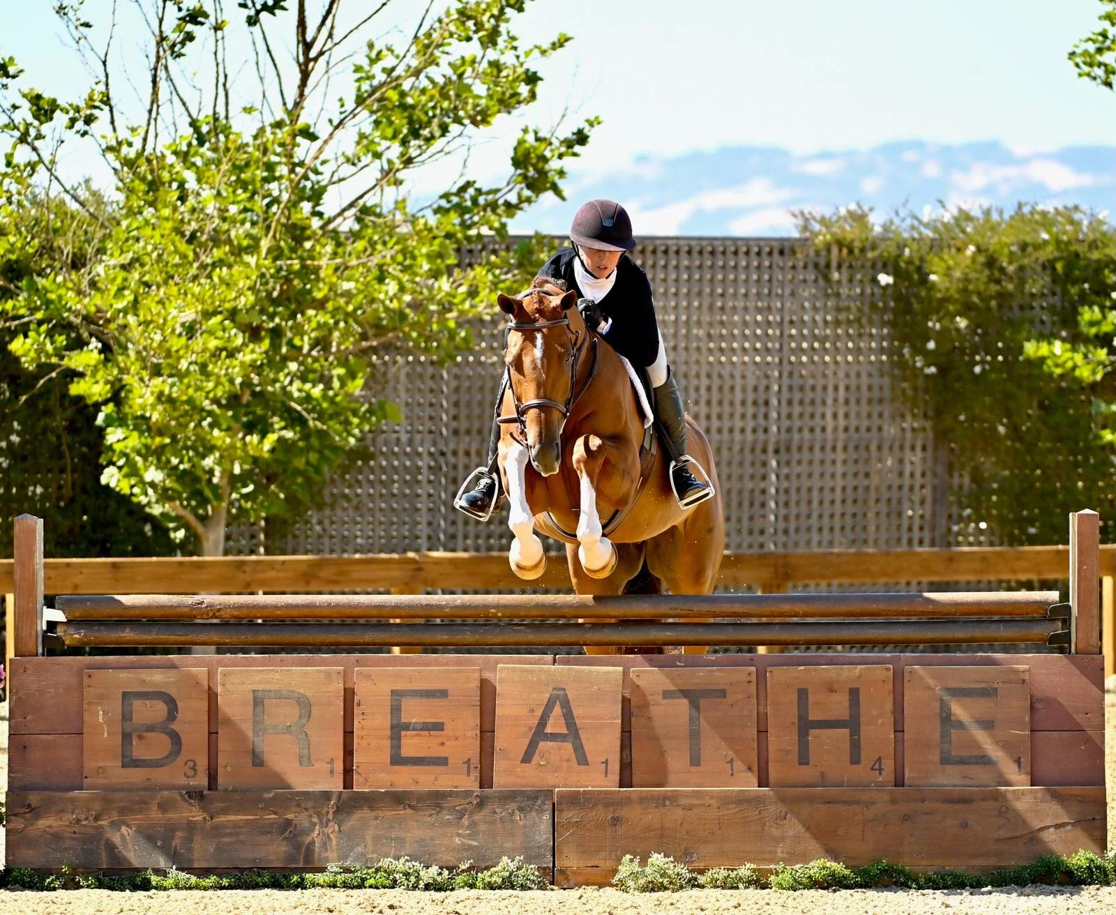 eb7848b8-0469-4717-9c81-d3b88308ea9c 2.JPG