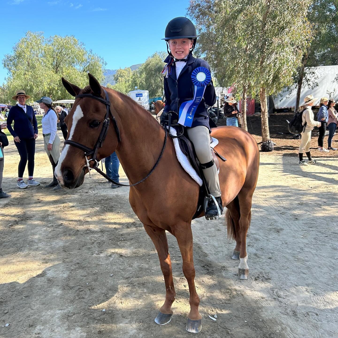 Outstanding week for Grace Green and Roll Call who claimed the Reserve Championship in two divisions! This pair took home a tricolor in the Schooling Ponies and the Small Pony Hunters with two wins in the Rated Division🥇🥇

#Sunnybrook #SB #JumpNEE 
