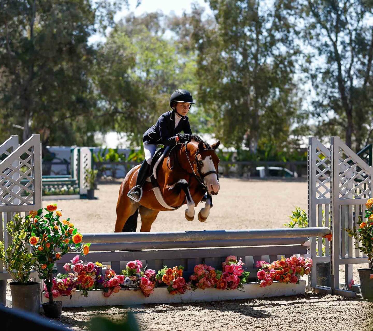 Congratulations to India Kulkin on a spectacular WCHR Week at Temecula Valley National Premier 1🏆

🌟Children&rsquo;s Hunter 13/u Champion on Big Business as well as taking the blue in the second round of the 2&rsquo;9 Modified on Friday
🌟Champion 