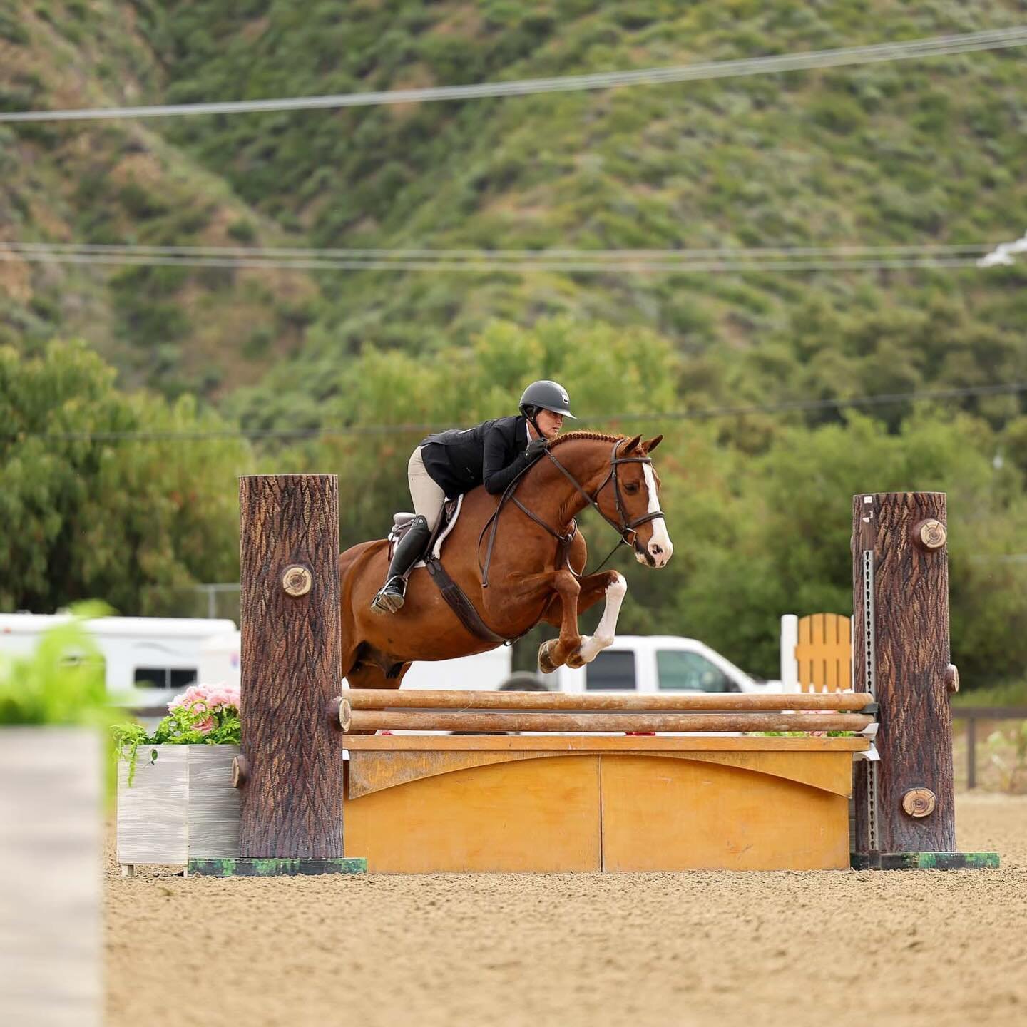 Cheroshi, owned by Chrissy Phillips, put in some beautiful rounds last week to claim the Championship in the USHJA 3&rsquo; Division under the guidance of @rebeccabruce87 🏆🥇

#Sunnybrook #SB #JumpNEE #Jumpers #Hunters #Eq #Ponies