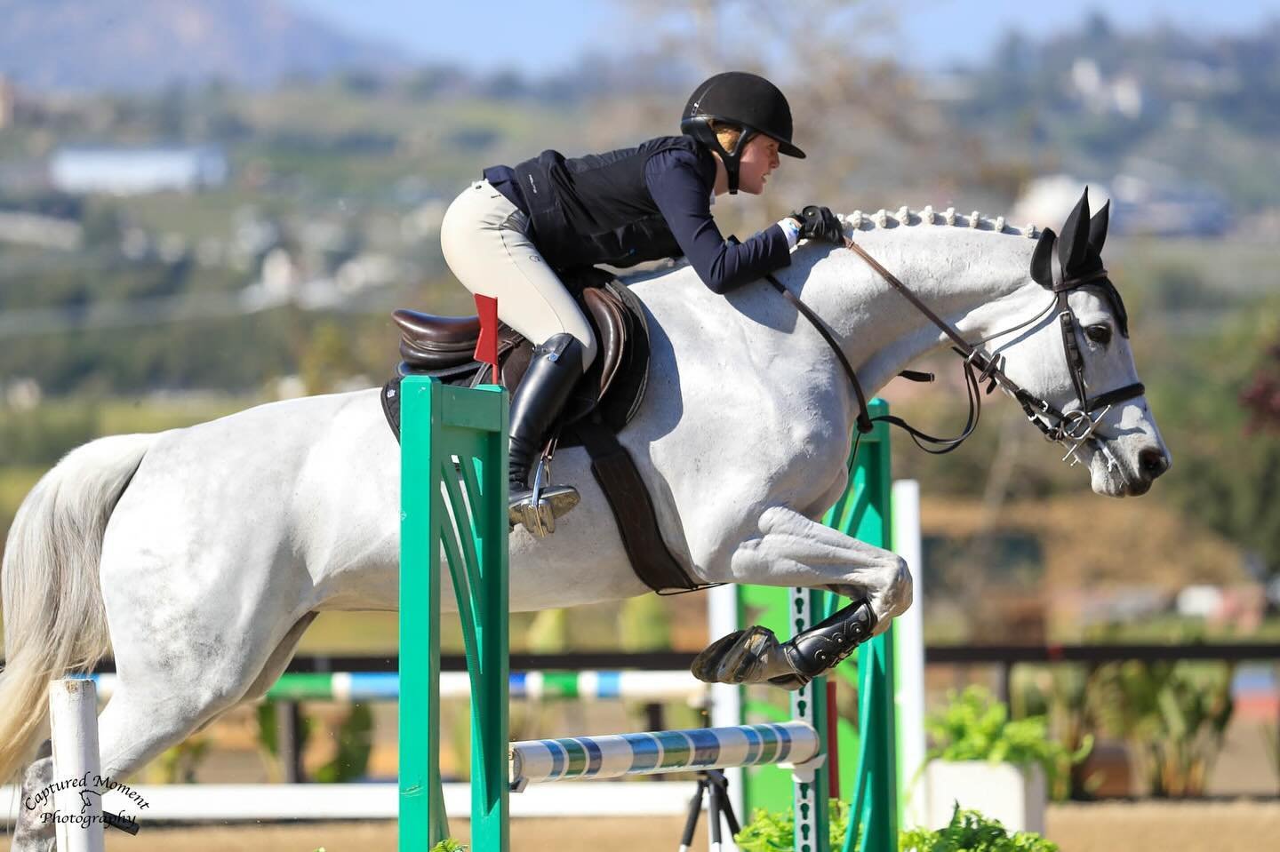 So proud of Leila Hart and her horse Aida De Bel Air last week! These two put in some great rounds in the .90 and 1.0 Jumpers, placing 5th and 7th in competitive classes!🏅👏🏻

#Sunnybrook #SB #JumpNEE #Jumpers #Hunters #Eq #Ponies