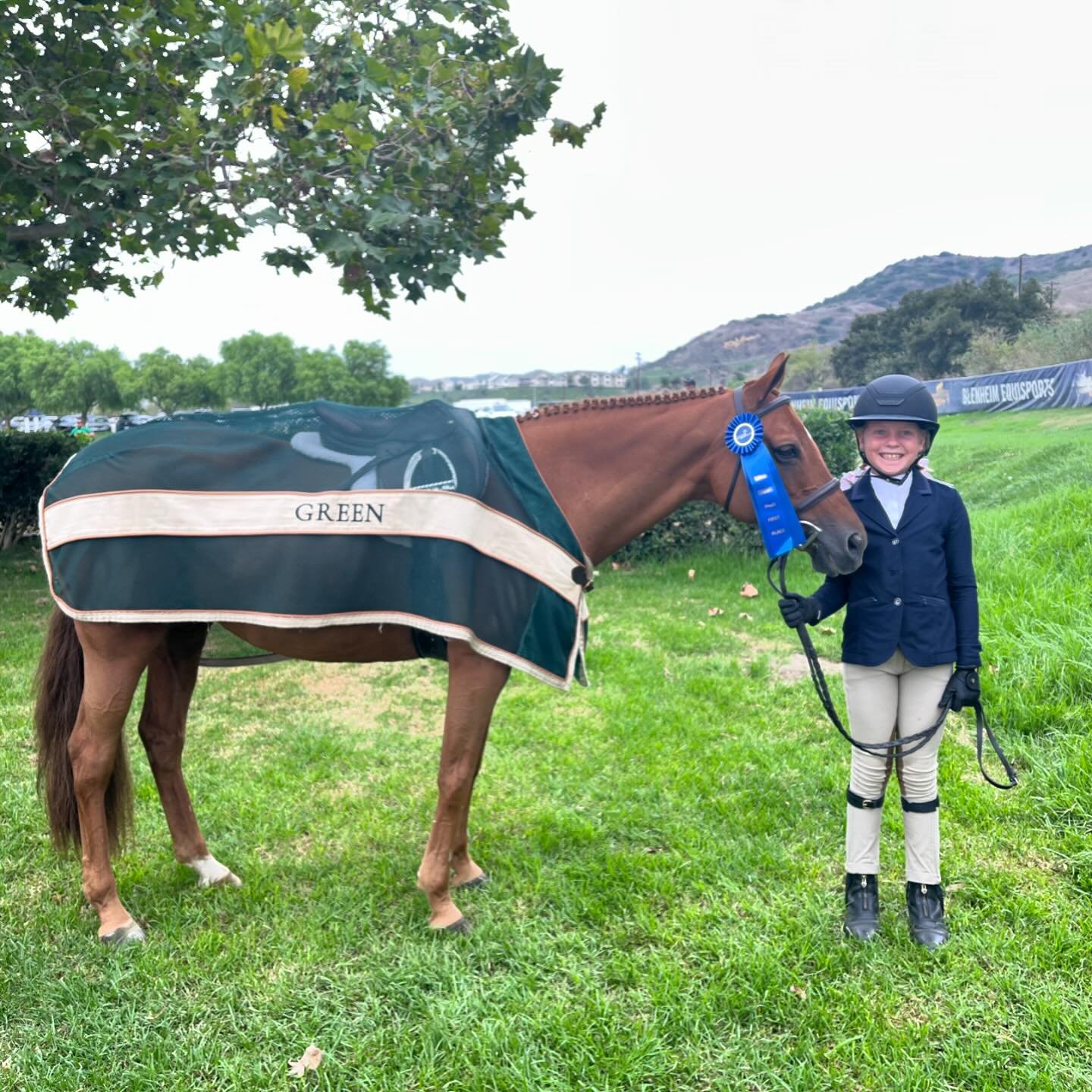 Gearing up for Devon!🔜🎡

Congratulations to these Sunnybrook riders on qualifying:

🌟Grace Green and Island Grace - Medium Pony 
🌟India Kulkin and Best Summer - Medium Pony 
🌟Grace Green and Roll Call - 5th on the waitlist for Small Ponies
🌟Ind