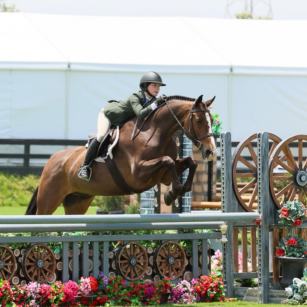 India Kulkin and SWS High Light jumped to champion in the 3&rsquo;3 Small Junior Hunter division. Congrats, India! You continue to impress us all! 🙌🏼