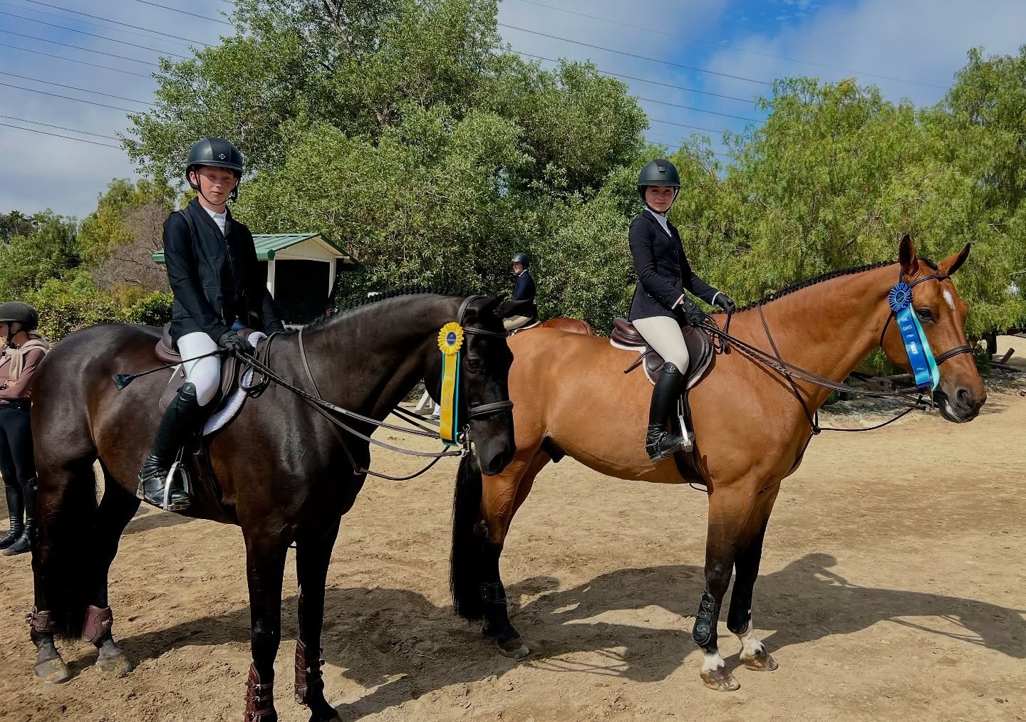 Kulkin Kids take top honors in the THIS Medal! 👏🏼 India Kulkin and Milan took top spot with Kai Kulkin and Diar Noir close behind in third. 🥇🥉 Congrats and great riding!