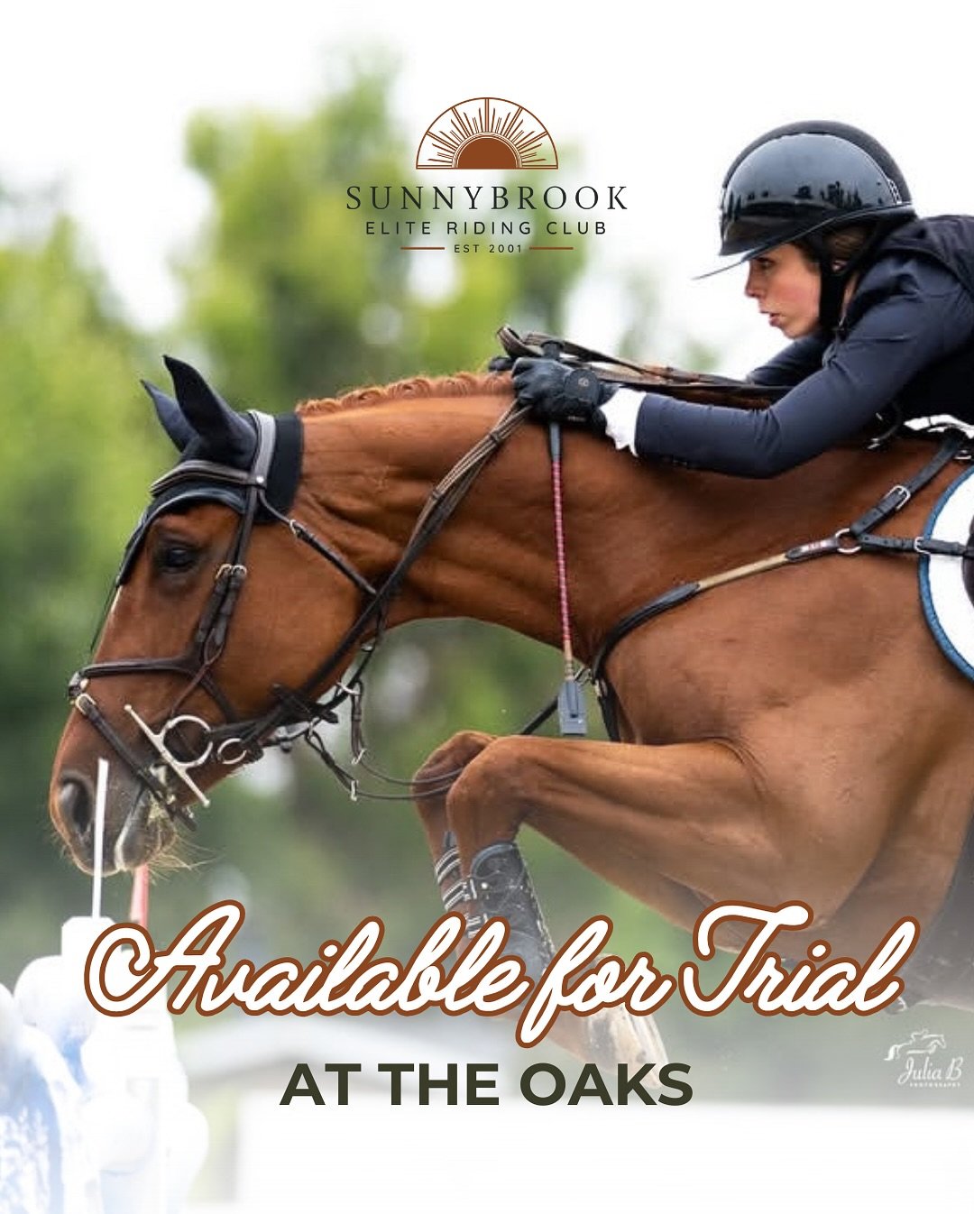 Sunnybrook has three quality horses available for trial at @jump_nee The Oaks:

🦄 Faline: Extremely competitive 1.30-1.35m jumper. This mare has wins and show miles everywhere, including Desert Horse Park.

🦄 BP Lucky Lady: Brave large pony jumper.