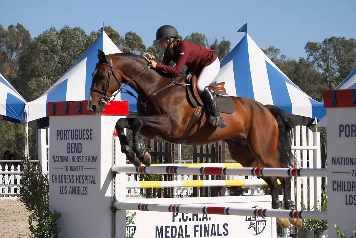 Portuguese Bend Horse Show