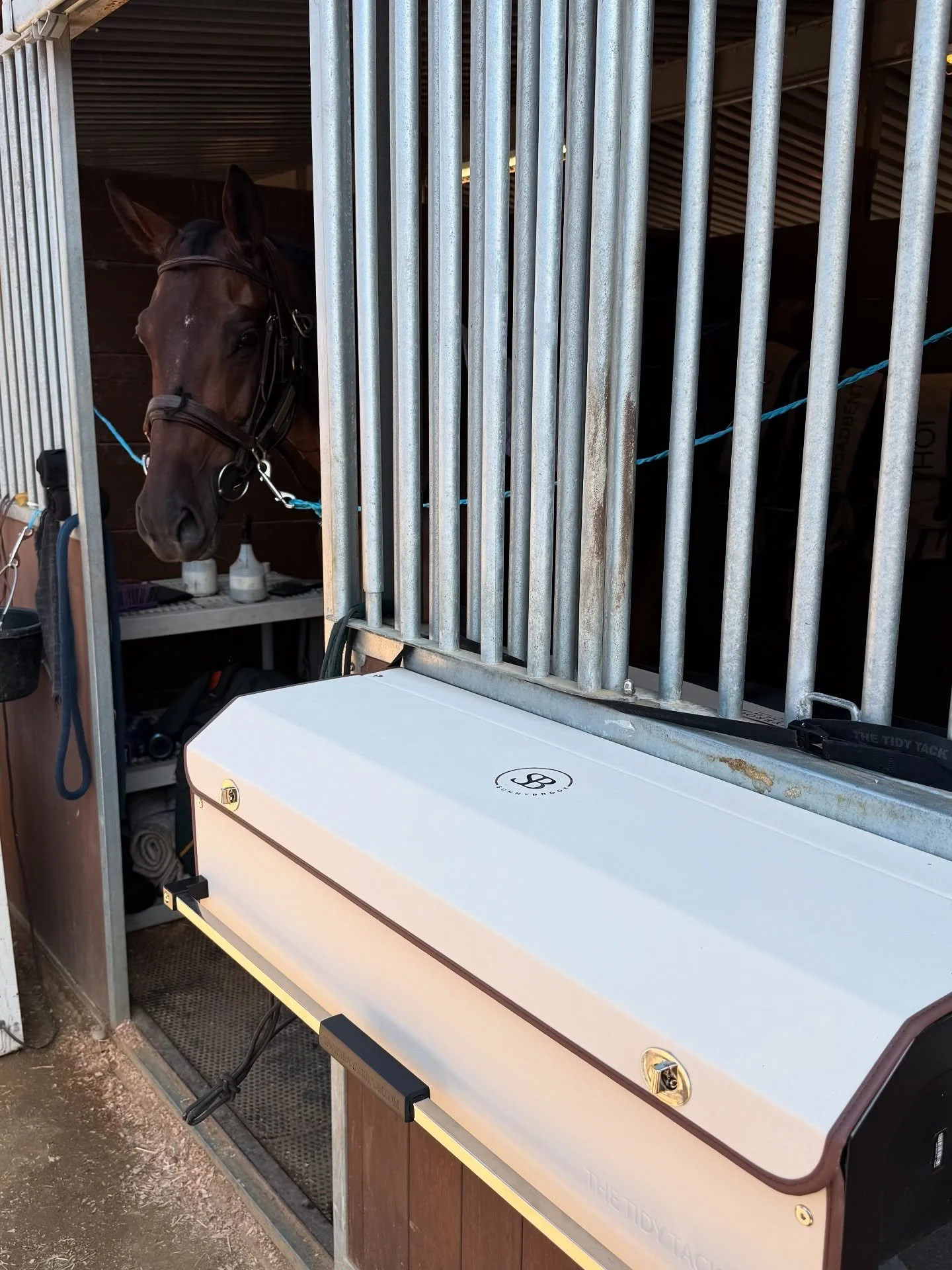 We&rsquo;re beyond thrilled to have the Tidy Tack Box at the show to help us&nbsp;stay organized &amp; functional&nbsp;while maintaining our elegant look! ✨ Thank you, @thetidytackroom! 💕🙌🏻