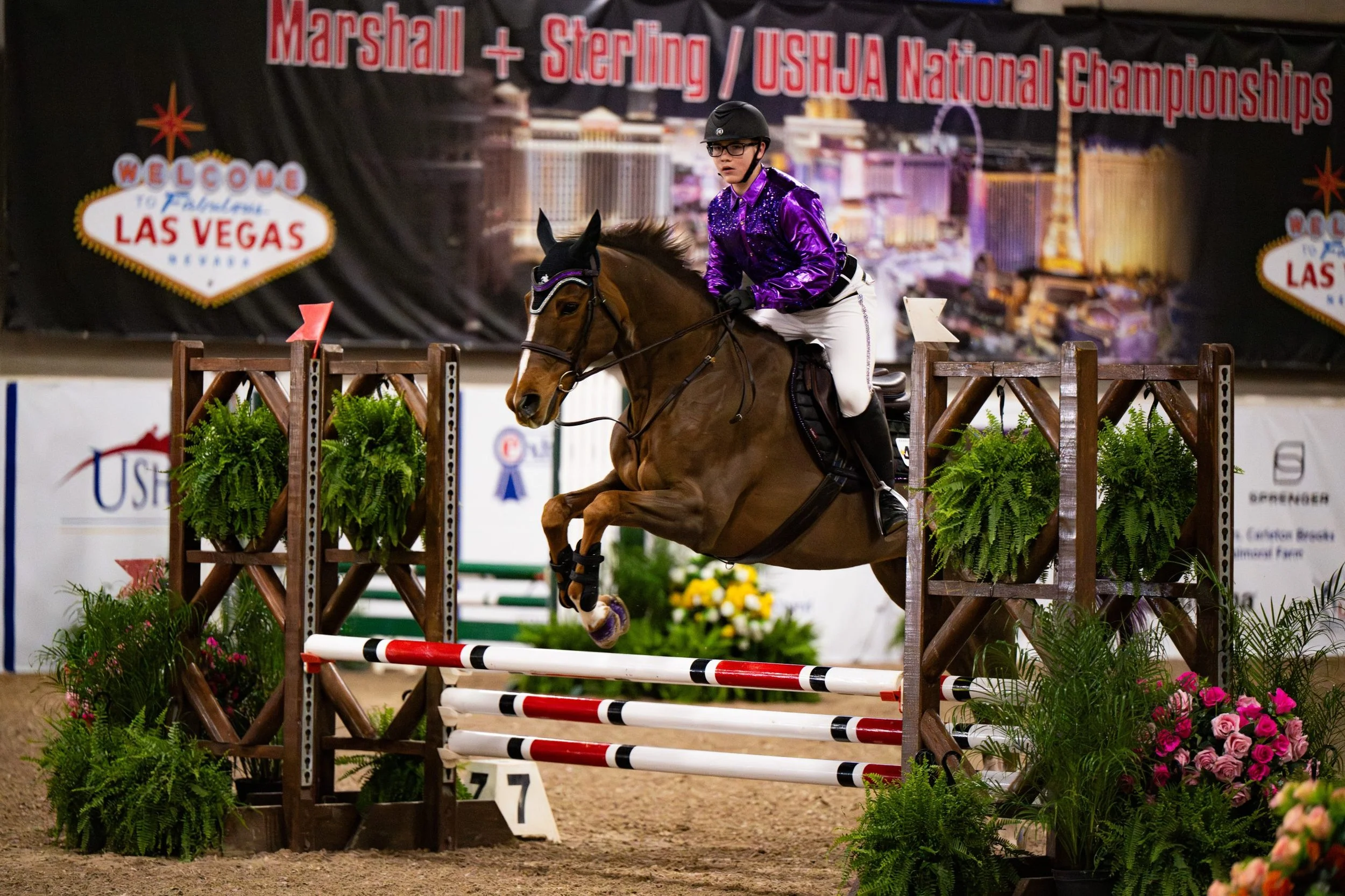 Las Vegas International Horse Show 