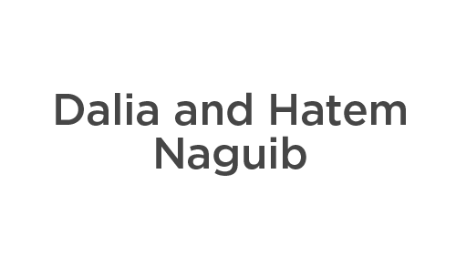 con19-sponsor-gold-naguib.png