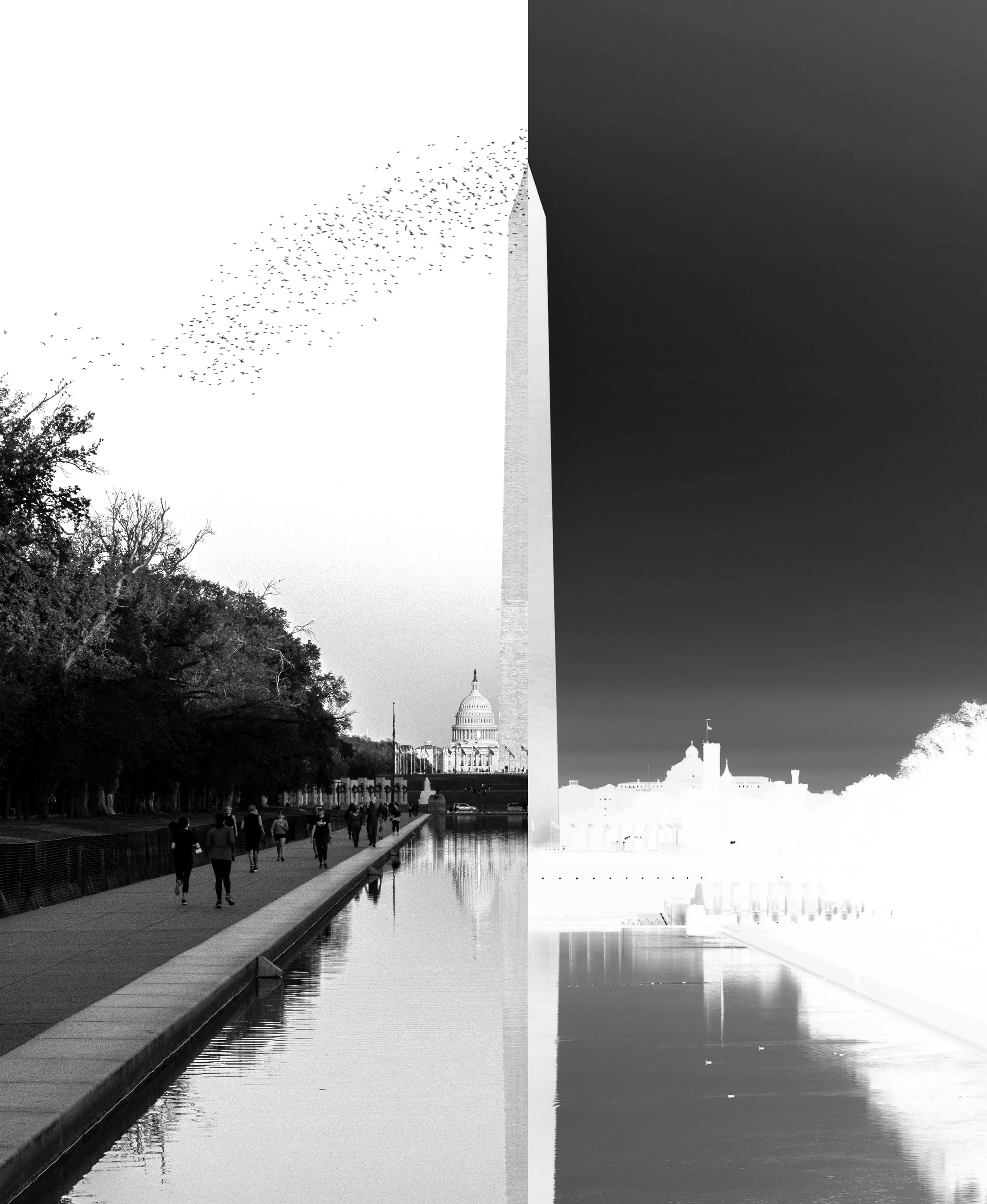washington-split-3-inverse.jpg