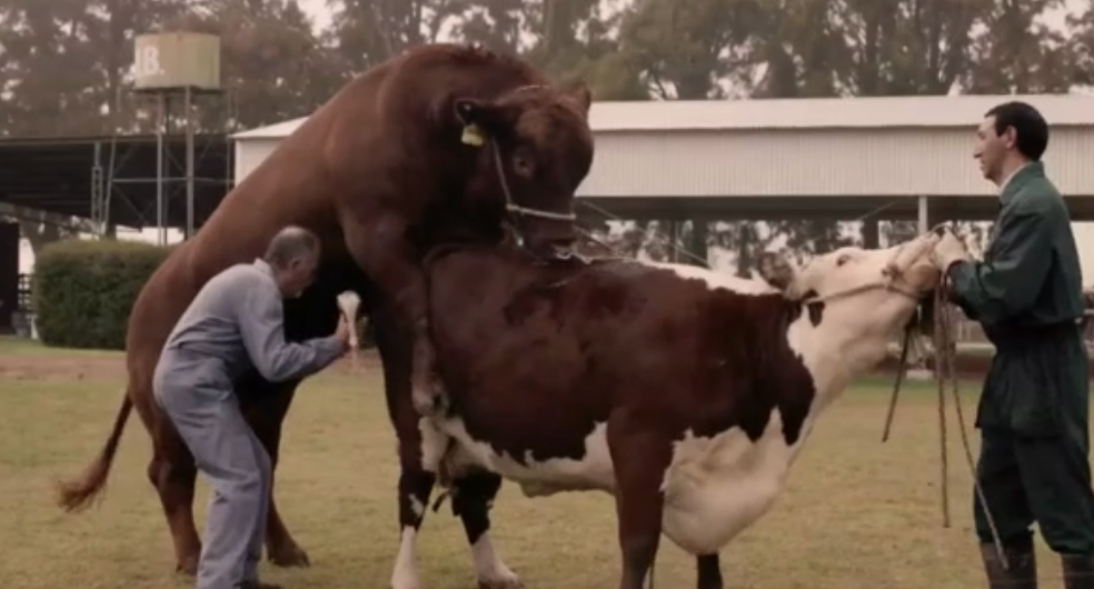 production CONTAINER - RAAW “SPERM COLLECTOR”