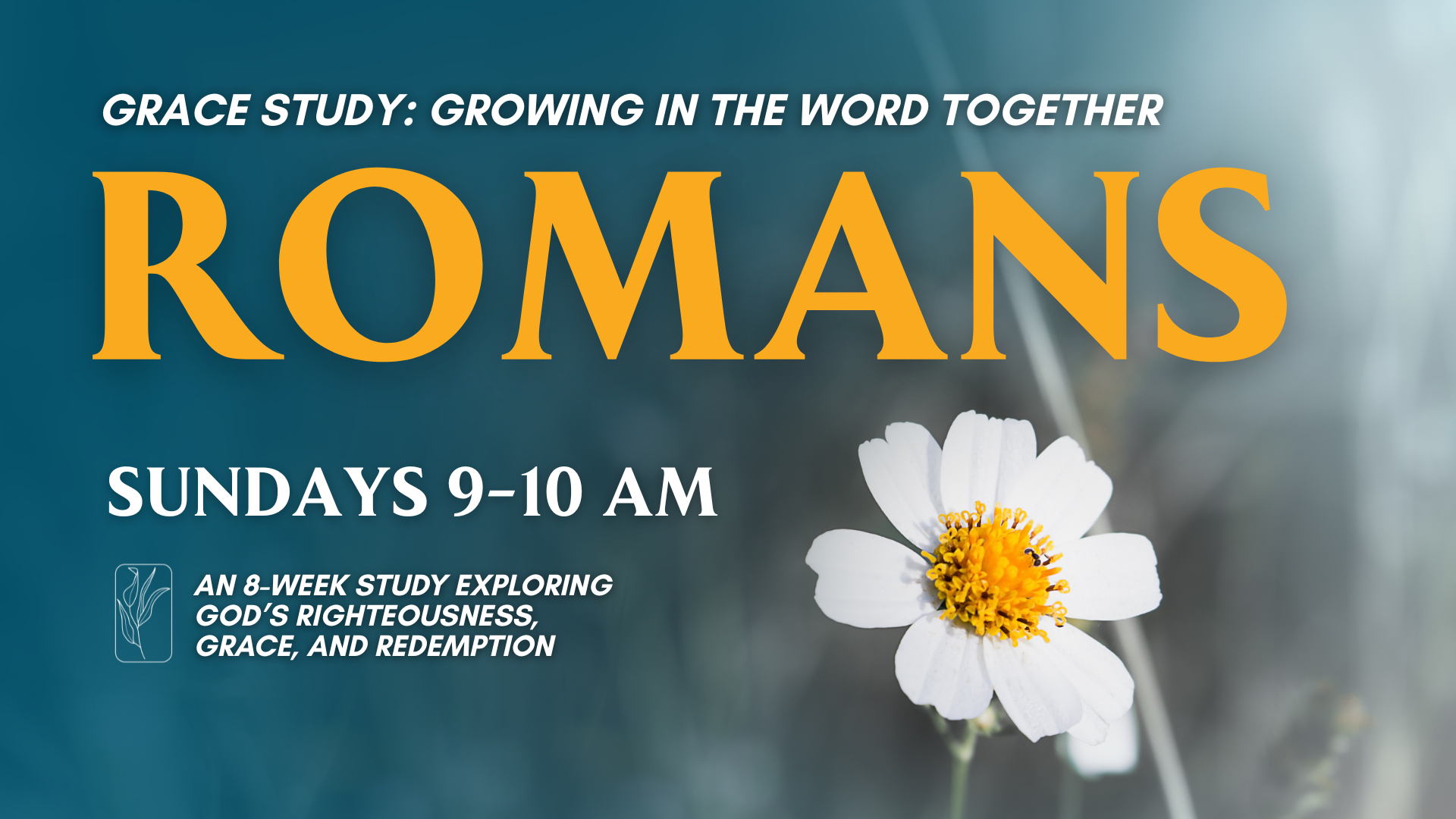 The Book of Romans.png