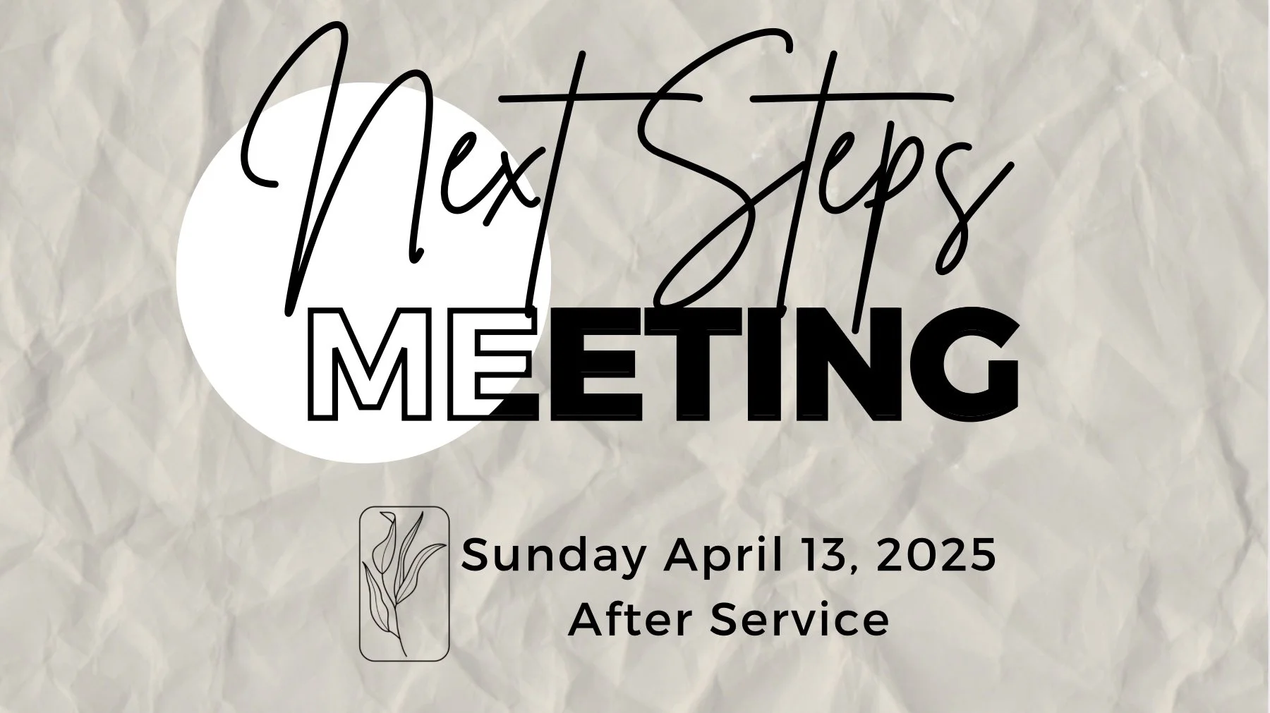 Next Steps Meeting