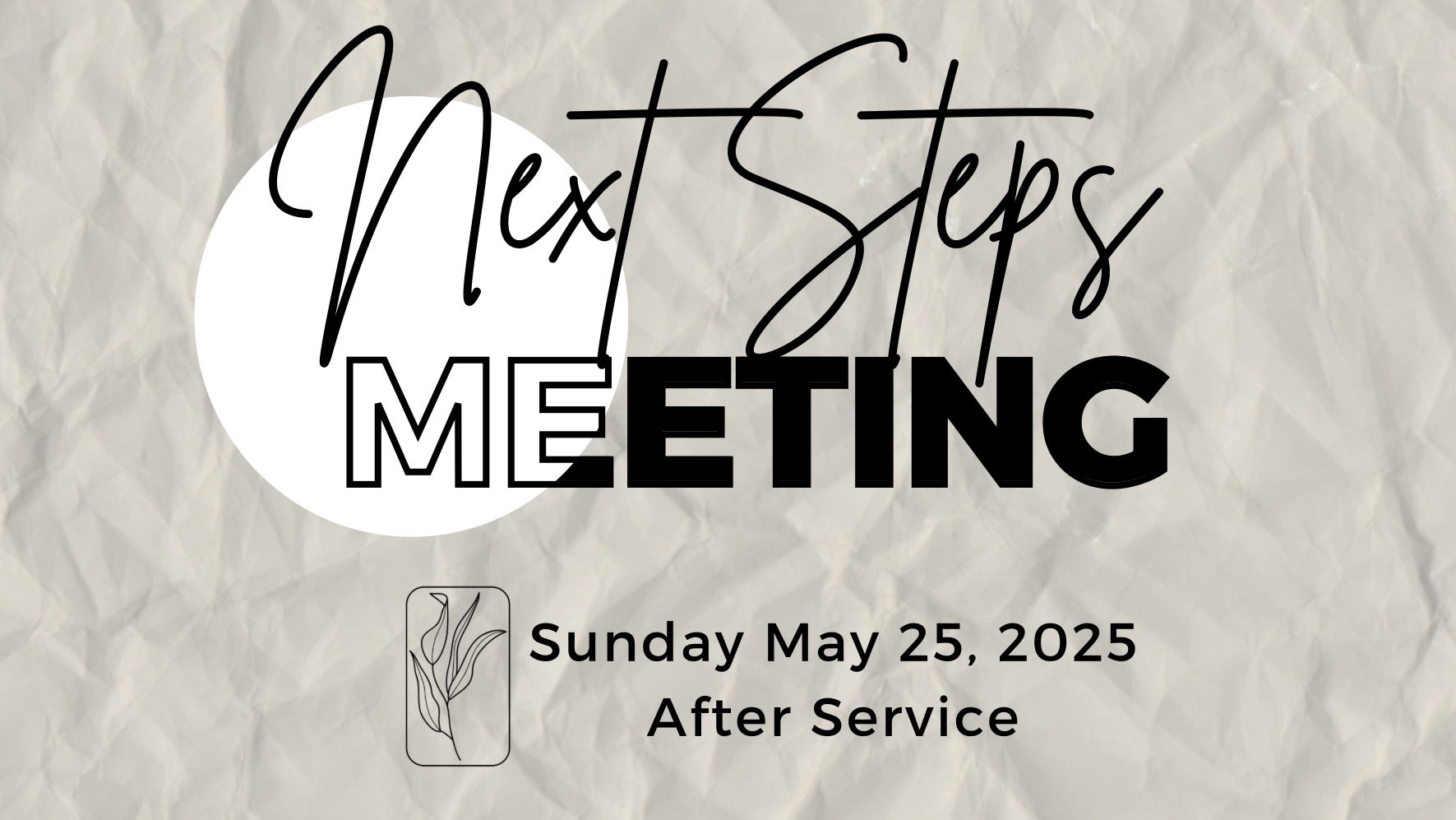 Next Steps Meeting