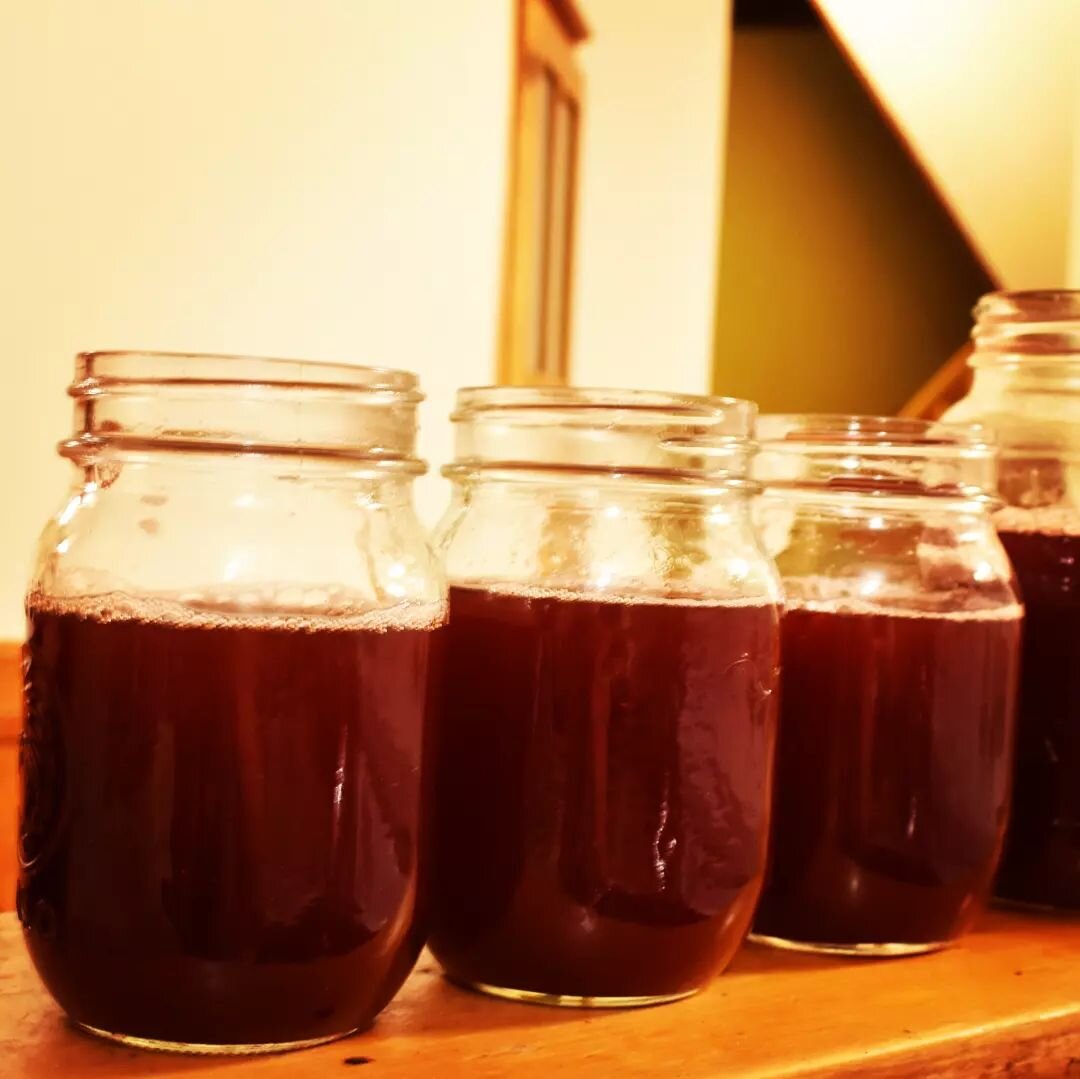 I made some currrant juice concentrate yesterday. Last summer, there was interest in how to make it, so see below for instructions. 

#currantjuice #gardenredcurrants #currants #redcurrants #brightreddrinks #localsuperfood #farmhouse #cedarknollfinch