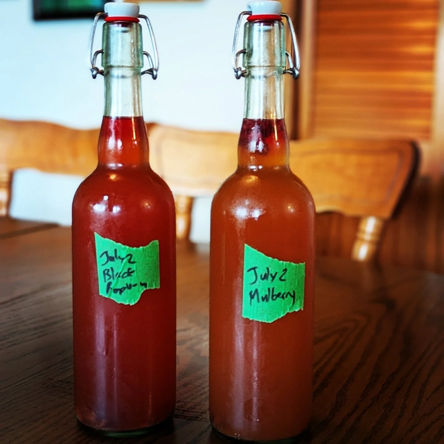 Kombucha with our homegrown mulberries and wild black raspberries. #homemadekombucha #blackraspberries #gardenmulberries #cedarknollfinch