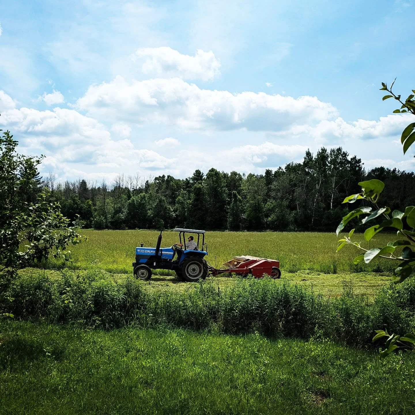 Make hay while the sun shines. #haying #hayingseason #cedarknollfinch