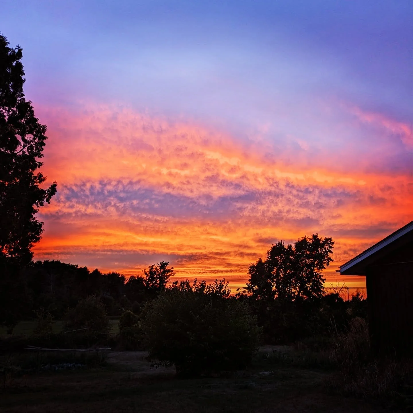 Goodnight Summer. Ben finished the hay today and school starts tomorrow. Tonight definitely feels like a moment to pause in the in-between. #sunset #cedarknollfinch