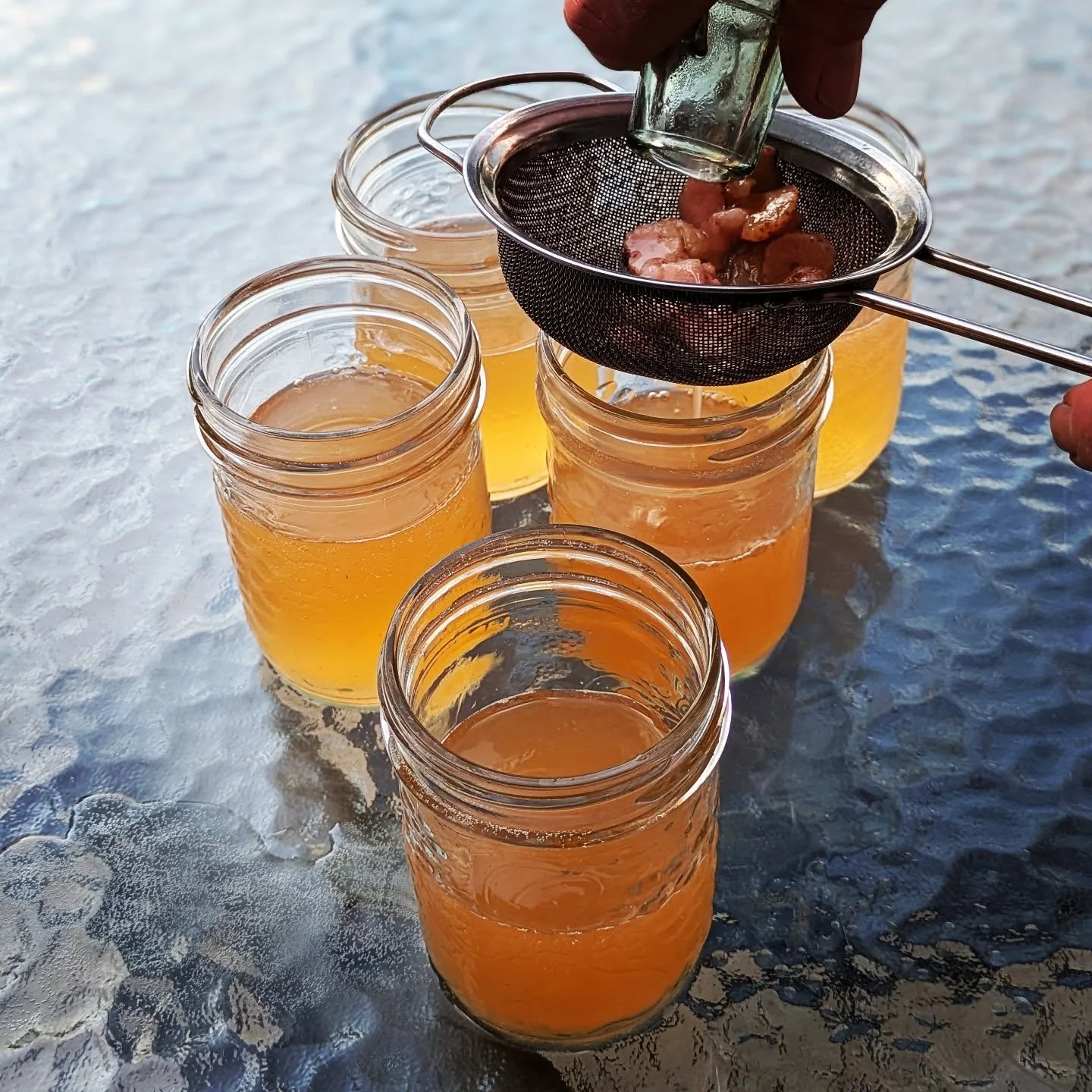 Homemade Strawberry Kombucha for Canada Day. #gardenstrawberries #kombuchalove #kombucha #cedarknollfinch