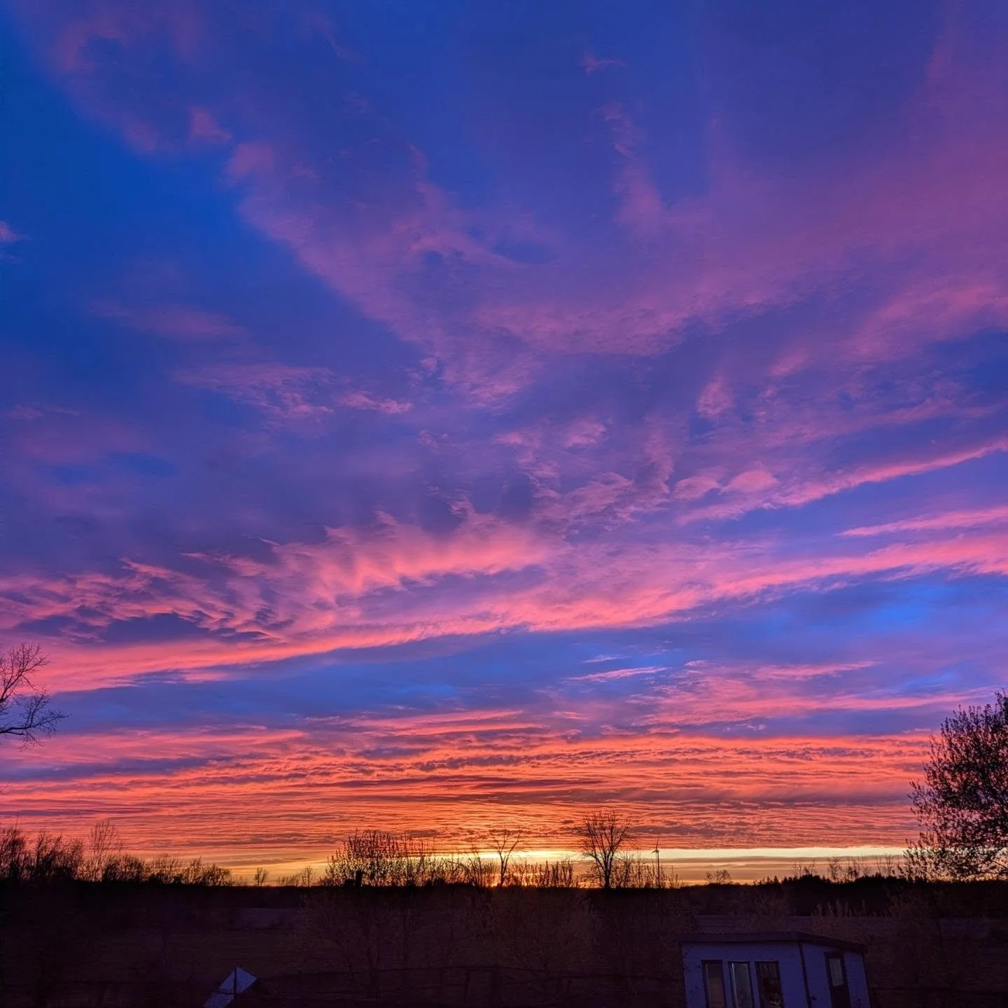 A beautiful sunset this evening. This photo has no filters- just stunning natural beauty. Absolutely incredible. #sunset #cedarknollfinch