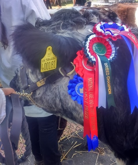 Craig Dougal at the Royal Three Counties Show